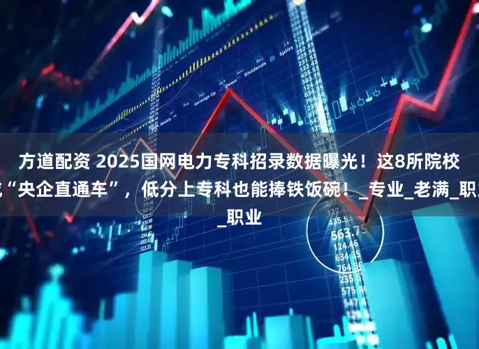 方道配资 2025国网电力专科招录数据曝光！这8所院校成“央企直通车”，低分上专科也能捧铁饭碗！_专业_老满_职业