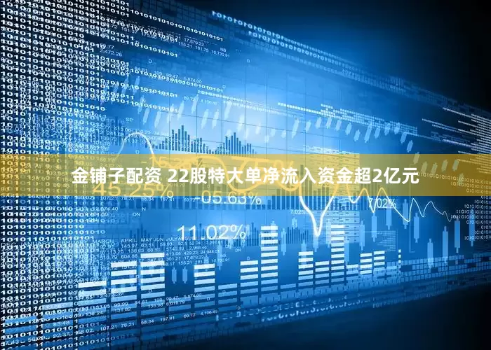 金铺子配资 22股特大单净流入资金超2亿元