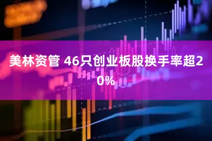 美林资管 46只创业板股换手率超20%
