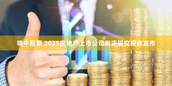 嗨牛股票 2025房地产上市公司测评研究报告发布