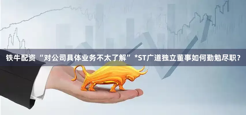 铁牛配资 “对公司具体业务不太了解” *ST广道独立董事如何勤勉尽职？