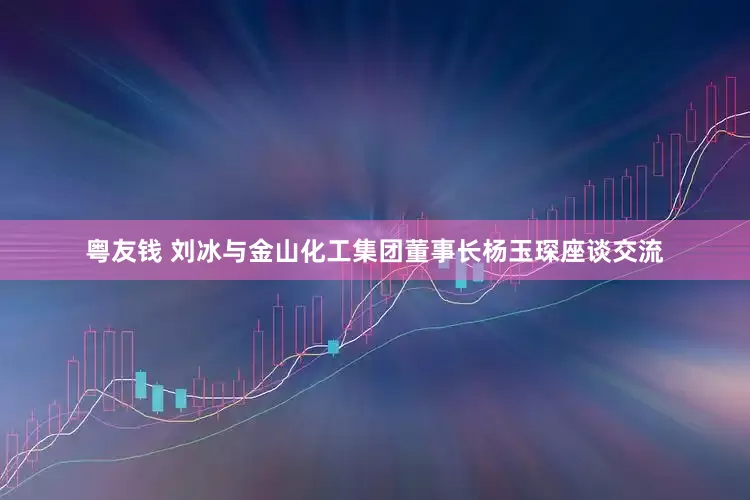 粤友钱 刘冰与金山化工集团董事长杨玉琛座谈交流