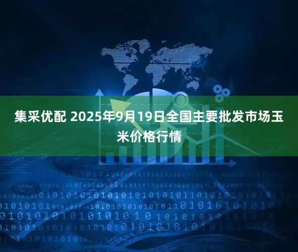 集采优配 2025年9月19日全国主要批发市场玉米价格行情
