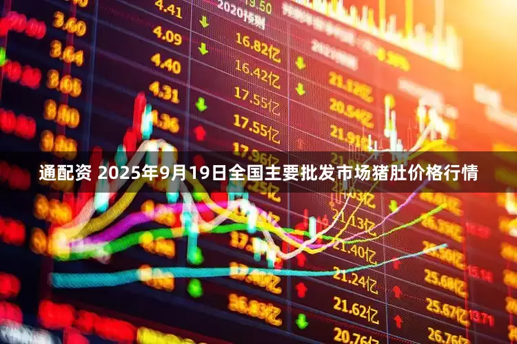 通配资 2025年9月19日全国主要批发市场猪肚价格行情