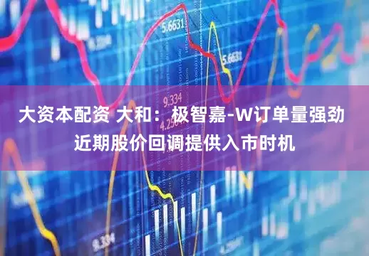 大资本配资 大和：极智嘉-W订单量强劲 近期股价回调提供入市时机